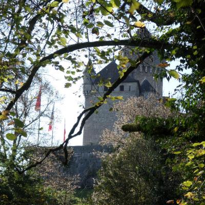 Lovagny chateau de montrottier photos gerard robert blanc 23