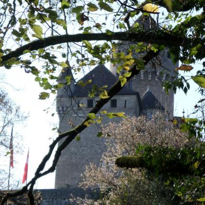 Lovagny chateau de montrottier photos gerard robert blanc 24