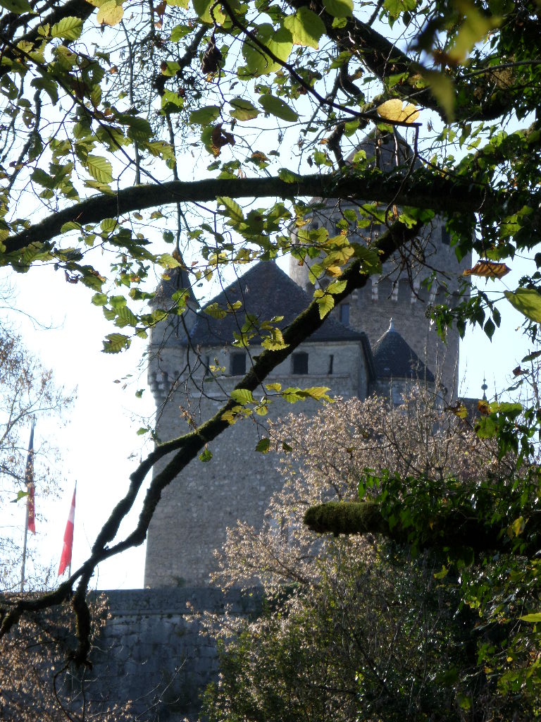 Le romantisme à Lovagny Château de Montrottier