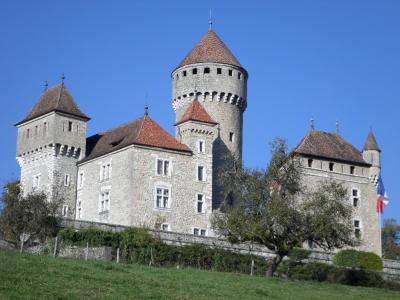 Lovagny chateau de montrottier photos gerard robert blanc 31
